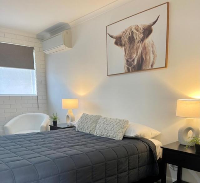 Estelle Kramer Motel Armidale Zewnętrze zdjęcie